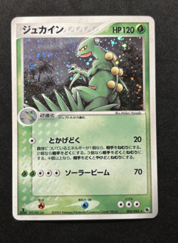 Sceptile 003/055 EX Ruby & Sapphire 1st Ed Japanese Pokemon Card Holo - Image 1