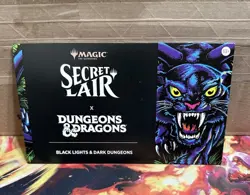 MTG Secret Lair x Dungeons & Dragons®: Black Lights & Dark Dungeons Non Foil - Image 1