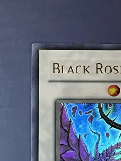 Yugioh Black Rose Dragon CSOC-EN039 Ultra Rare Unlimited VLP/NM - Image 4