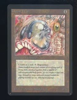 1993 MTG Magic The Gathering Beta Living Wall - Image 1