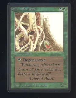 1993 MTG Magic The Gathering Beta Wall of Brambles - Image 1