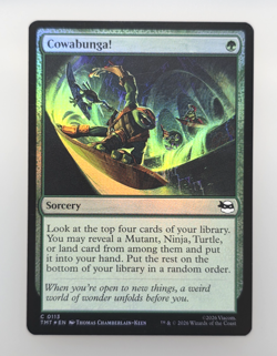 Cowabunga! Teenage Mutant Ninja Turtles Foil - MTG TMNT - Common 0113 - Image 1