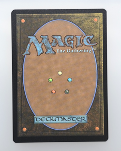 Cowabunga! Teenage Mutant Ninja Turtles Foil - MTG TMNT - Common 0113 - Image 2