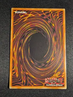 Yu-Gi-Oh! Amazoness Onslaught LDS1-EN025 1st Edition Common NM - Image 2