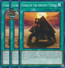Yugioh! 3x Curse of the Ancient Turtle SUDA-EN083 Common 1st Ed NM - Image 1
