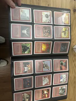 Old Magic Card Binder - Vintage - MTG - Image 3