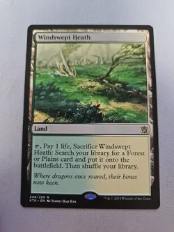 MTG: Windswept Heath (LP): Khans Of Tarkir - Image 1