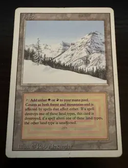 Taiga - Revised Edition Magic the Gathering MTG - Image 1