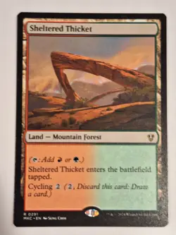 Sheltered Thicket - Commander: Murders at Karlov Manor - Magic the Gathering MTG - Image 1