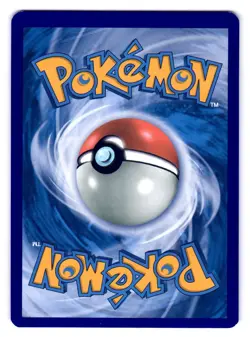 Magikarp & Wailord GX SM166 Promo SM Black Star Promos Pokemon NM - Image 2
