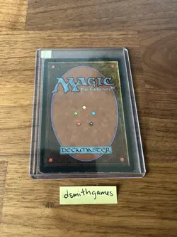 Wizards of the Coast Taiga Rare Land Revised Regular Rob Alexander - Image 2