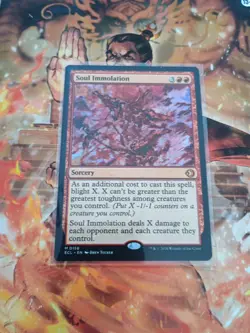 MTG SOUL IMMOLATION 0156 Lorwyn Eclipsed ECL NM - Image 1