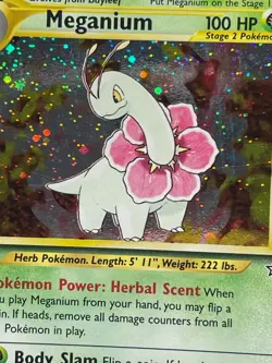 Pokemon Meganium Neo Genesis Holo Rare 10/111 - LP - Image 4