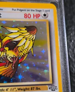 Pidgeot 8/64 Holo Rare Jungle Set Unlimited Edition Pokemon Card Never Played - Image 3