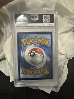 Pokemon Bulbasaur 143/142 Sv07: Stellar Crown Illustration Rare Holo PSA 10 2024 - Image 5
