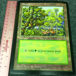 MTG: Magic the Gathering FOREST Land Oversized Promo Card 6"x9" NEVER PLAYED E8 - Image 1