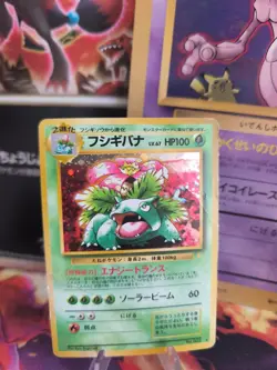 Pokemon Karte Card Venusaur Bisaflor CD Promo Pikachu Records Holo Wotc japanese - Image 1