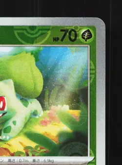 Bulbasaur 059/SV-P NM Scarlet & Violet Promos Japanese Pokemon Card TCG - Image 5