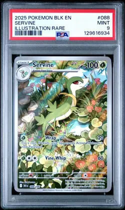 2025 Pokemon Black Bolt #088 Servine Illustration Rare PSA 9 MINT Trusted Seller - Image 1