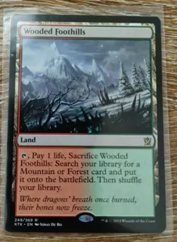 Wooded Foothills - KTK - 249/269 - NM - Image 1