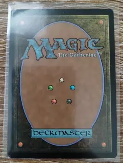 Wooded Foothills - KTK - 249/269 - NM - Image 2