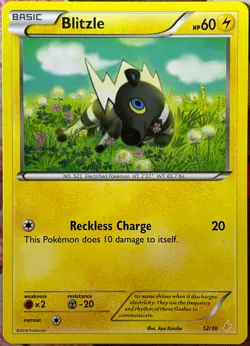 Blitzle - 12/30 - XY Trainer Kit: Pikachu Libre & Suicune Pokemon 2016 - Image 1