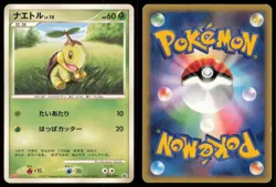 TURTWIG 005/DP-P MEIJI POKEMON JAPANESE PROMO MP - Image 1