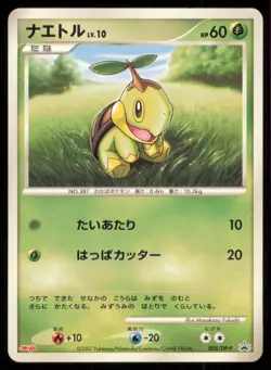TURTWIG 005/DP-P MEIJI POKEMON JAPANESE PROMO MP - Image 2