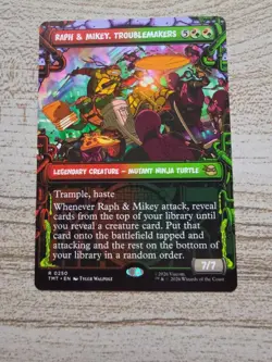Raph & Mikey, Troublemakers (Showcase) Teenage Mutant Ninja Turtles Regular - Image 1
