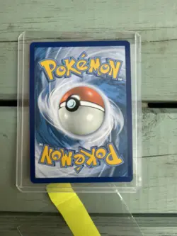 Pokemon Squirtle Illustration Rare 148/142 Sv07 Stellar Crown Holo English 2024 - Image 3