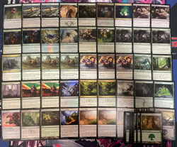 MTG - GOLGARI SPIDER DECK - RUINOUS PATH, ABZAN BEASTMASTER, KEYRUNE, UMBRA ~ - Image 1