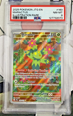 2025 POKEMON JTG EN-JOURNEY TOGETHER ILLUSTRATION RARE #160 MARACTUS PSA 8 - Image 1