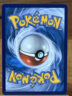 Pokemon TCG Gyarados GX SM212 Black Star Promo - Image 2