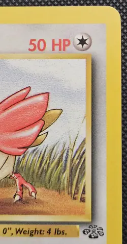 Near Mint - Vintage Pokemon TCG Jungle WoTC Spearow 1st Edition #62/64 - Image 3