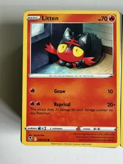 Pokemon Bundle 100 Basic Cards Job Lot Cards Are In Mint Condition - Image 3