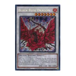 Yu-Gi-Oh! Black Rose Dragon (Secret Rare) - Quarter Century Stampede - Image 1