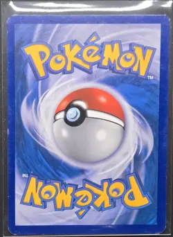 Eevee 90/116 Plasma Freeze Common Pokemon 2013 - Image 2