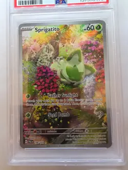 Sprigatito 196/193 Pokemon TCG Paldea Evolved Illustration Rare PSA Gem 10 - Image 3