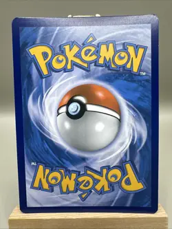 Wartortle 34/214 Holo Promo Sun & Moon Unbroken Bonds Pokemon TCG 2019 LP - Image 2