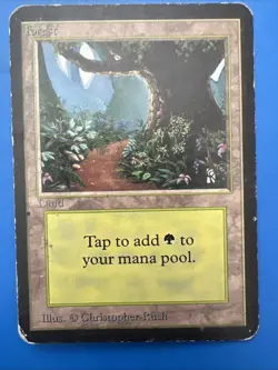 Vintage~Magic the Gathering~MTG💥Forest💥Limited Edition~BETA~1993 - Image 1