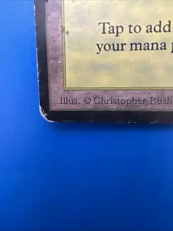 Vintage~Magic the Gathering~MTG💥Forest💥Limited Edition~BETA~1993 - Image 2