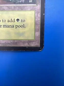 Vintage~Magic the Gathering~MTG💥Forest💥Limited Edition~BETA~1993 - Image 3