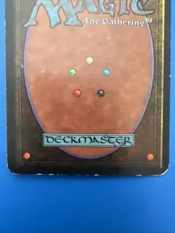 Vintage~MTG💥Forest💥Limited Edition~Beta~1993 - Image 3