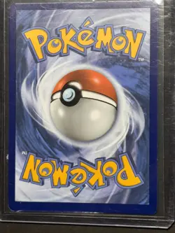 Pokemon Holiday Calendar Pikachu SWSH153 Black Star Holo Promo NM/LP - Image 3