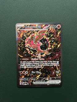 Pokemon TCG Oricorio ex 024 Mega Evolution Black Star Promo NM Condition #1 - Image 1