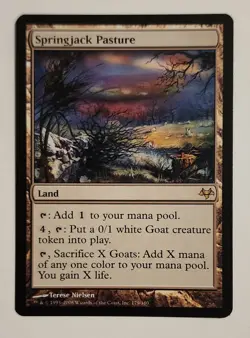 MTG Springjack Pasture - Eventide Regular - NM Magic The Gathering - Image 1