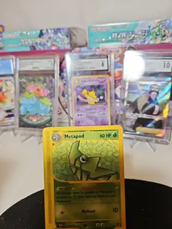 Metapod 087/165 Expedition Base Set Regular Pokemon Tcg - Image 2