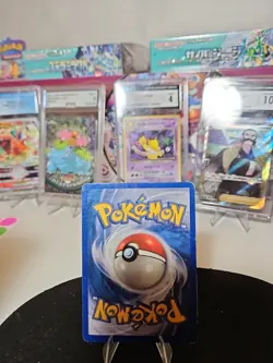 Metapod 087/165 Expedition Base Set Regular Pokemon Tcg - Image 5