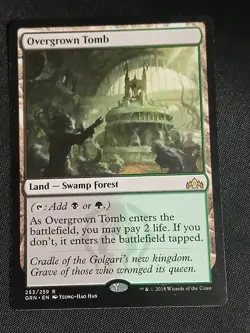 Overgrown Tomb R Guilds of Ravnica 253 Near Mint Magic the Gathering Card - Image 1