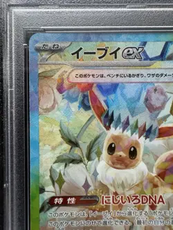 Pokemon Eevee ex 223/187 Sv8a: Terastal Fest Ex Holo (Japanese) PSA 10 - Image 3